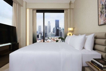 Singapúr  Mondrian Singapore Duxton 7 dňový pobyt Bez stravy Letecky Letisko: Viedeň January 2026 ( 7/01/26-13/01/26)