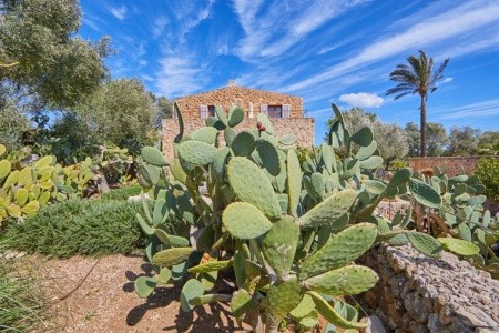 Son Penya Petit (Sant Llorenç Des Cardassar)
