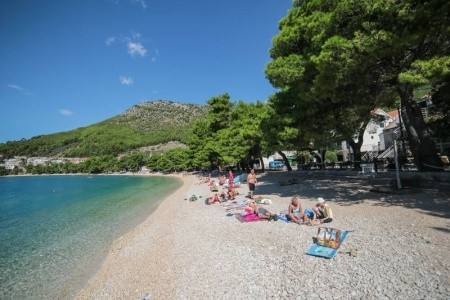 Depandance Maslina - 7