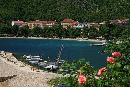 Depandance Maslina - 8