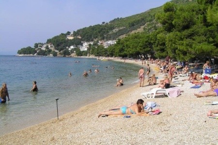 Depandance Maslina - 9