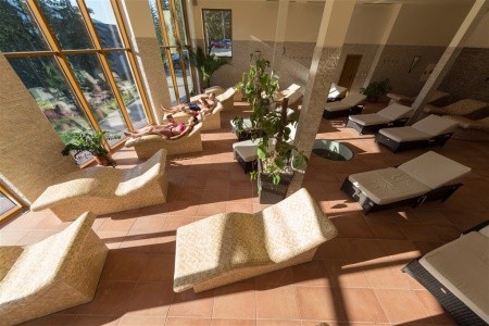 Ski & Wellness Residence Družba - 16