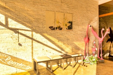 Bulharsko Slnečné Pobrežie Flamingo 8 dňový pobyt All Inclusive Letecky Letisko: Praha May 2026 (31/05/26- 7/06/26)