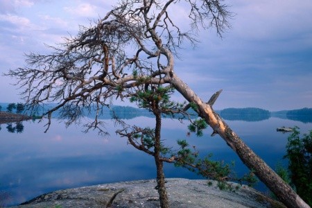 FINSKO 55+, PALETA POZNÁNÍ - 10