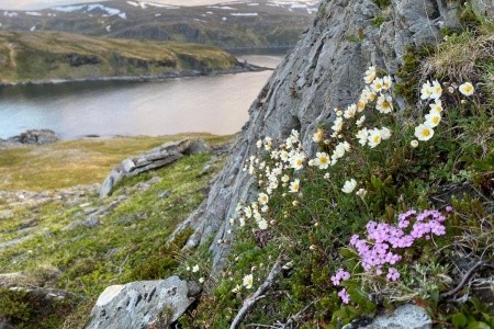 Finsko a Norsko - LAPONSKEM NA NORDKAPP - 12