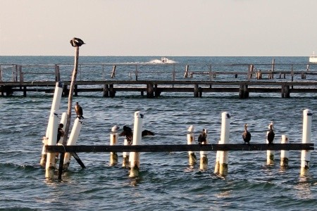 Guatemala - Honduras - Belize - Mexiko - 21