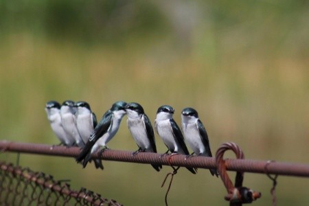 Guatemala - Honduras - Belize - Mexiko - 27