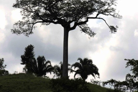 Guatemala - Honduras - Belize - Mexiko - 31