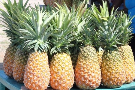 Guatemala - Honduras - Belize - Mexiko - 35