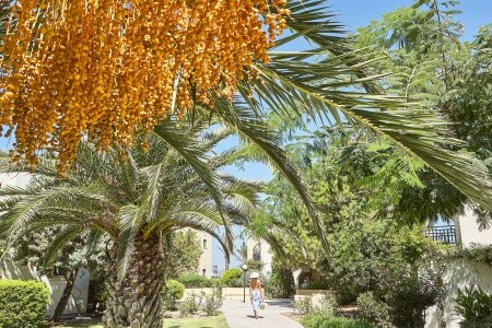 Grécko Kos Grecotel Casa Paradiso (Ex.