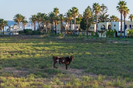 Grécko Kos Grecotel Casa Paradiso (Ex.