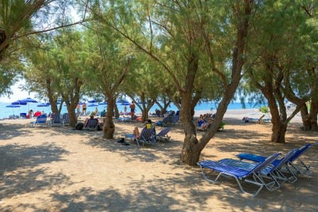 Grécko Rodos Stafilia Beach 8 dňový pobyt Polpenzia Letecky Letisko: Bratislava August 2026 (25/08/26- 1/09/26)