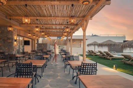 Golden Bee Lifestyle - 22