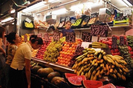 Barcelona - Metropole Katalánska - 17