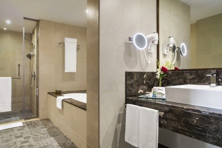 Spojené arabské emiráty Dubaj Jumeirah Rotana 15 dňový pobyt Raňajky Letecky Letisko: Praha January 2026 (15/01/26-29/01/26)