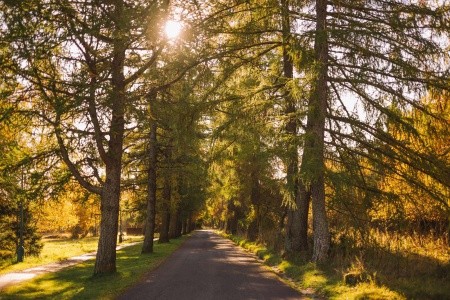 Atlas Hotel Tatry (Ex Sorea Hutník Ii.) - 25