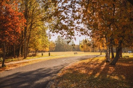 Atlas Hotel Tatry (Ex Sorea Hutník Ii.) - 23