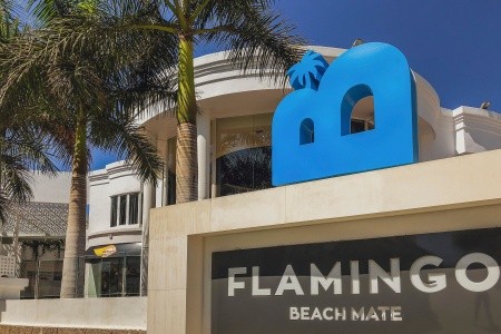 Flamingo Beach Mate - 36