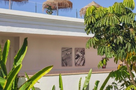 Flamingo Beach Mate - 43