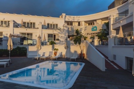 Flamingo Beach Mate - 60