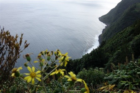 Azorské ostrovy São Miguel a Santa Maria - 17