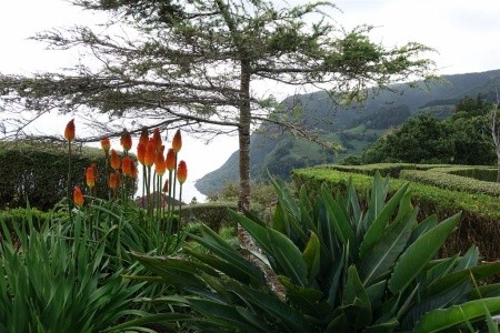 Azorské ostrovy São Miguel a Santa Maria - 18