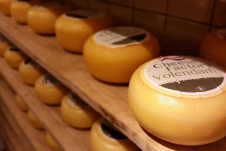 HOLANDSKO A KVĚTINOVÉ KORZO - 4