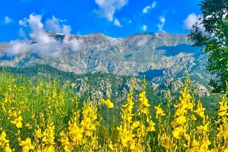 Korsika - koupání a poznání - 99