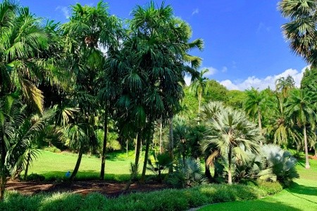 SINGAPUR - MALAJSIE - BANGKOK - 9