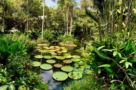 SINGAPUR - MALAJSIE - BANGKOK - 20