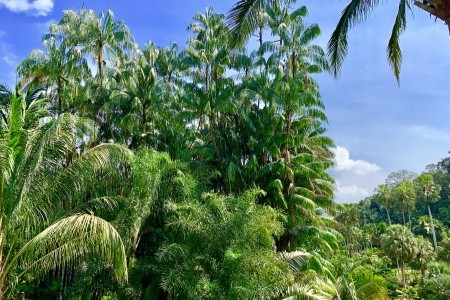 SINGAPUR - MALAJSIE - BANGKOK - 21