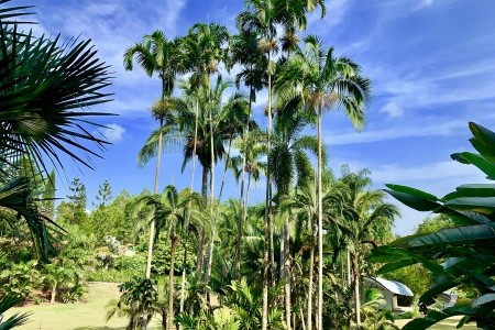 SINGAPUR - MALAJSIE - BANGKOK - 22