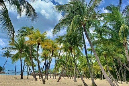 SINGAPUR - MALAJSIE - BANGKOK - 42