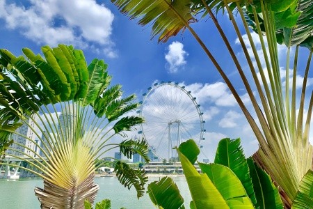 SINGAPUR - MALAJSIE - BANGKOK - 48