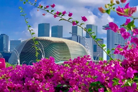 SINGAPUR - MALAJSIE - BANGKOK - 59