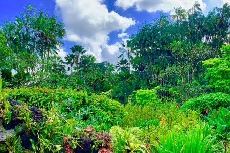 SINGAPUR - MALAJSIE - BANGKOK - 63