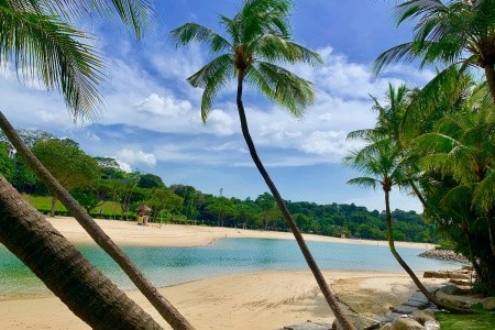 SINGAPUR - MALAJSIE - BANGKOK - 73