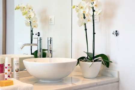 Grecotel Meli Palace - 16