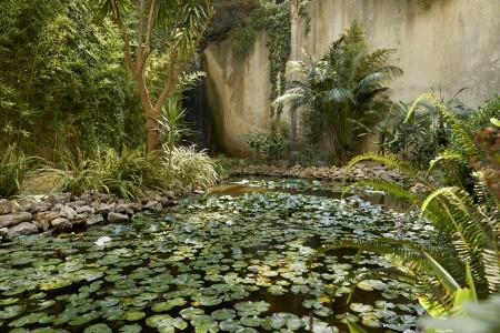 Amus Hotel & Spa - 7