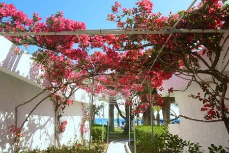 Blue Horizon Beach Resort - 8