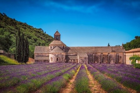 PROVENCE bus