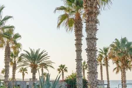 Ikaros Beach Luxury Resort & Spa - 5