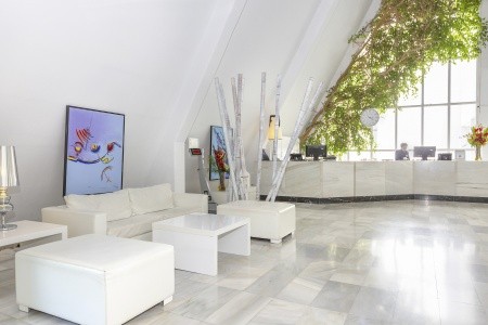 Marsenses Rosa Del Mar