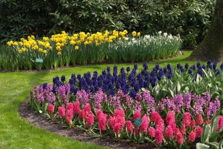 Holandsko, Velikonoce v zemi tulipánů, Amsterdam - 1