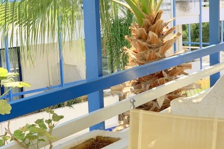 Kassavetis Center - Hotel Studios & Apartments - 74