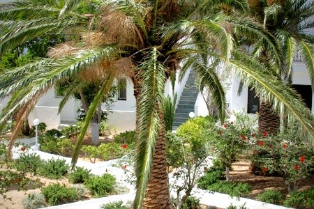 Řecko, Kréta, Avra Palm, za <span>20.760</span> Kč