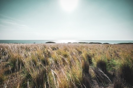 Numo Ierapetra Beach Resort - 3