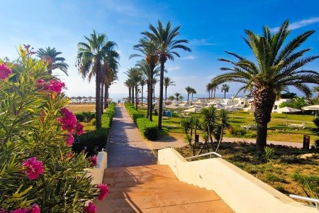 Calimera Delfino Beach Resort & Spa - 32