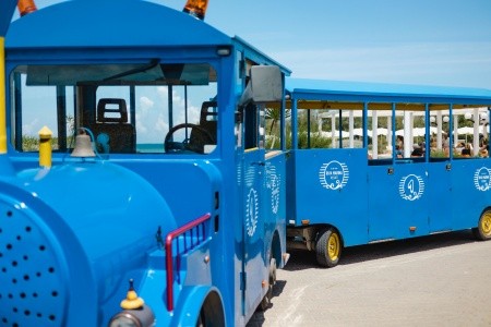 Riva Marina (Carovigno) - 37