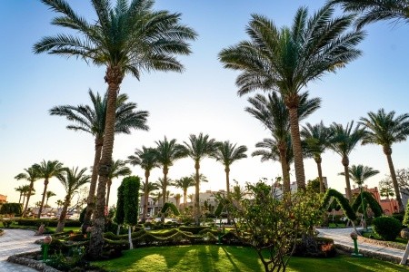 Sentido Akassia Beach - 42